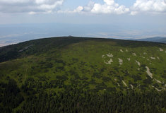 Lesy ČR zlepšují kvalitu lesních porostů v Národní přírodní rezervaci Králický Sněžník