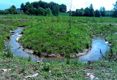 Jeden z úseků vodního toku Barovka u Libice nad Doubravou na Chotěbořsku získal zásluhou Lesů ČR svou původní podobu