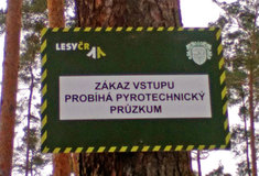 V Bořím lese už pyrotechnici vyčistili osm hektarů