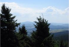 Lesy ČR v říjnu zpřístupní novou rozhlednu na Anenském vrchu v Orlických horách