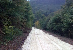 Rekonstrukce lesní cesty – Resslova II.