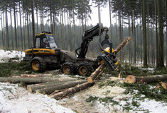 Lesy ČR vykázaly za první čtyři měsíce tohoto roku hrubý zisk 3,06 miliard korun