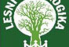 Lesní pedagogika a Mezinárodní rok lesů u Lesů ČR v roce 2011: 770 akcí pro téměř 80 tisíc lidí
