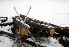 Těžby v zimě jsou šetrnější pro přírodu – neděláme je lyžařům naschvál!