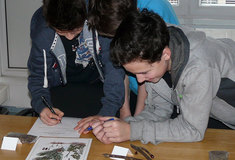 V mezinárodní soutěži Mladí lidé v evropských lesích prokazují účastníci teoretické znalosti i praktické dovednosti