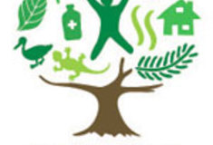 Lesy ČR se aktivně připojily k Mezinárodnímu roku lesů 2011