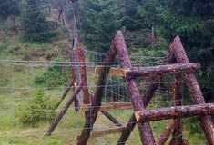 Lesy ČR věnují zvýšenou péči lesům v Národní přírodní rezervaci Králický Sněžník