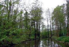 Opatovický kanál – nadčasové vodní dílo Pardubicka