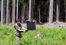 Ochrana lesa před kůrovci je v plném proudu i v Karlovarském kraji