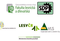 Akademici společně s lesníky, dřevozpracovateli a ochránci přírody zjišťují aktuální informace o domácím dřevozpracovatelském sektoru