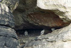 Tip na víkend: Pozorujte v Teplickém skalním městě hnízdící sokoly