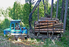 Tendry na lesnické činnosti prováděné od r. 2016 vyhlásí Lesy ČR v červnu