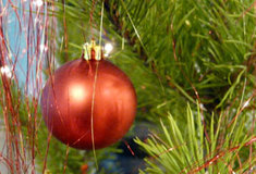 Symbolem Vánoc je vánoční stromek