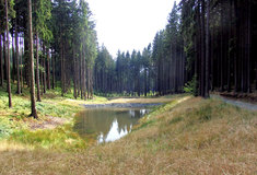 V lesích u Ledče nad Sázavou jsou znovu napuštěné tři vodní nádrže