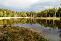 Lesy ČR loni vyšla správa vodních toků na 470 milionů korun