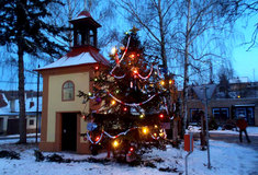 Zdobení vánočního stromu v Pavlovicích