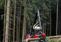 O lesnické zakázky se uchází 39 lesnických společností