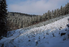 Lesy ČR představují novinky pro běžkaře
