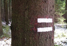 Proč jsou na stromech různé značky a co označují?