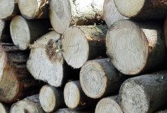 Společný obchod SVOL se dřevem vzrostl za deset let o 80 procent