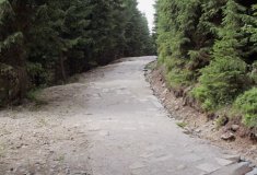 Lesy ČR opravily na hranicích s Polskem turistický chodník