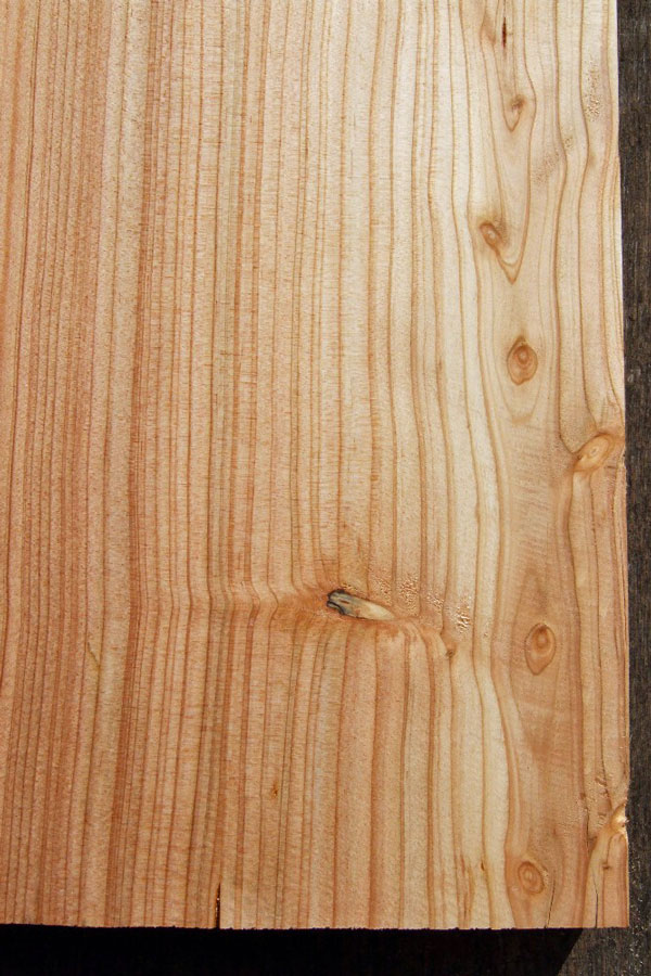 Jak poznat modřínové dřevo?