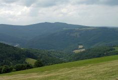 V přeshraničním projektu “Biodiverzita SK-CZ“ spolupracují  čeští a slovenští lesníci