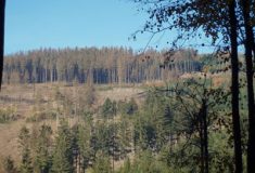 Ve Zlínském kraji bylo v dubnu výjimečné sucho, lesy ovlivňuje dlouhodobě