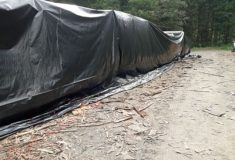 Státní lesníci používají na kůrovce novou českou metodu
