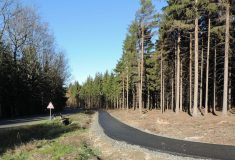 V Libereckém kraji právě Lesy ČR dokončily pěší stezku a cyklotrasu