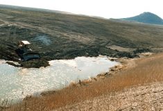 Lesy ČR začnou v Ústeckém kraji hospodařit na pozemcích po hornické činnosti