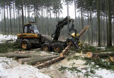 Lesy ČR vypsaly veřejnou zakázku na harvestorové práce