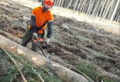 Vojáček: „České lesnictví potřebuje kvalifikované dělníky. Učňovská stipendia jsme proto od nového školního roku zdvojnásobili“