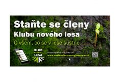 Lesy ČR zakládají Klub nového lesa