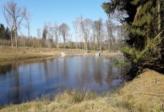 Lesy ČR zrekonstruovaly tři rybníky v Českém ráji
