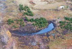 Lesy ČR dokončily nejrozsáhlejší obnovu rašeliniště v Krušných horách
