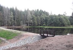 Rekonstrukcí jednoho z „Bečovských lesních rybníků“ prospěly Lesy ČR krajině i chráněným rostlinám a živočichům