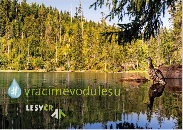 Pyzele Puzzle | Lesy České republiky, s. p.
