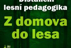 Z domova do lesa: Distanční lesní pedagogika Lesů ČR má úspěch