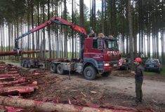 Lesy ČR posílají Moravě peníze i dřevo