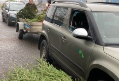 Lesníci předali stromky hradecké fakultní nemocnici