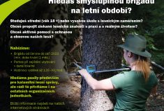 Lesy ČR nabízejí brigádu žákům a studentům lesnických škol