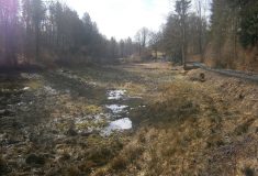 Lesy ČR obnovují pět lesních vodních nádrží na východě Čech
