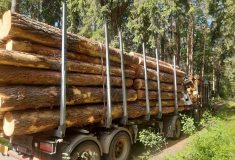Agresivita v lese: Lesní cesty nepatří „jen“ veřejnosti