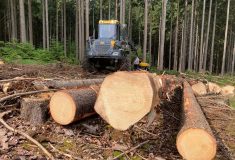 Rok po tornádu: Lesy ČR darovaly lidem téměř 36 milionů korun i dřevo na nové krovy a na topení