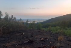 Poděkování hasičům za likvidaci pondělního lesního požáru na Zlínsku