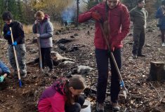 Gymnazisti z Litoměřic pomohli lesu
