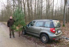 Státní lesníci dnes začali rozvážet vánoční stromky darované dětem