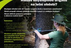 Adjunktem na léto: Pracovní příležitost pro studenty lesnictví, vodohospodářství a krajinářství