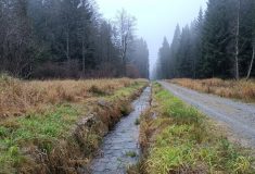 Čtyři úseky Schwarzenberského plavebního kanálu  obnovily Lesy České republiky